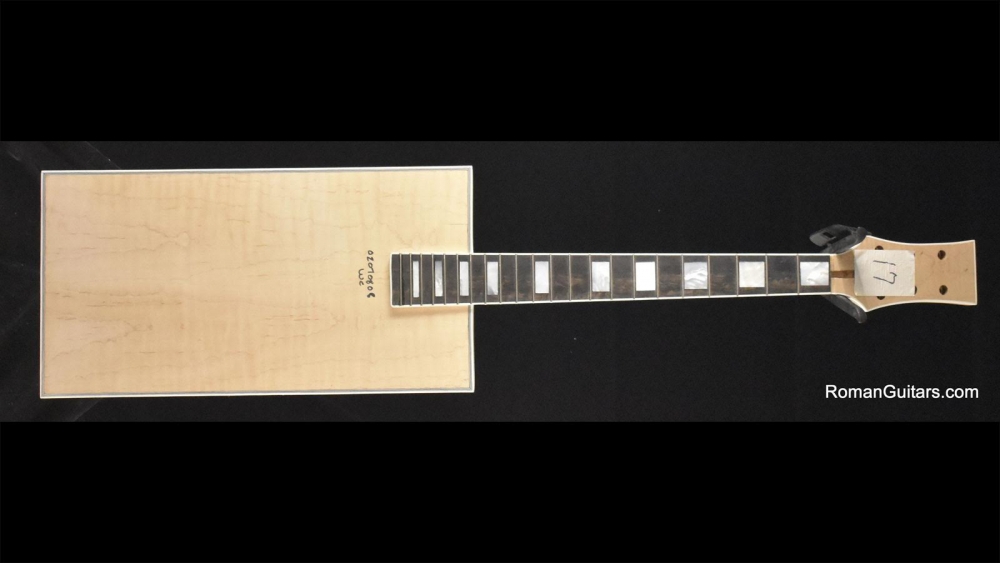 Roman Abstract Diddley Bo Hand Crafted Body Core