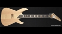 Roman Abstract Caligula Hand Crafted Body Core 13