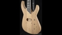 Roman Abstract Caligula Hand Crafted Body Core 29