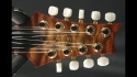 PRS 12 String Conversion to 9 String Sold