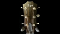 Taylor AD17E Blacktop Grand Pacific