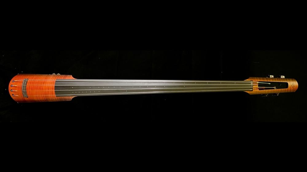 NS Designs NXT4 Double Bass