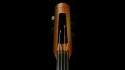 NS Designs NXT4 Double Bass