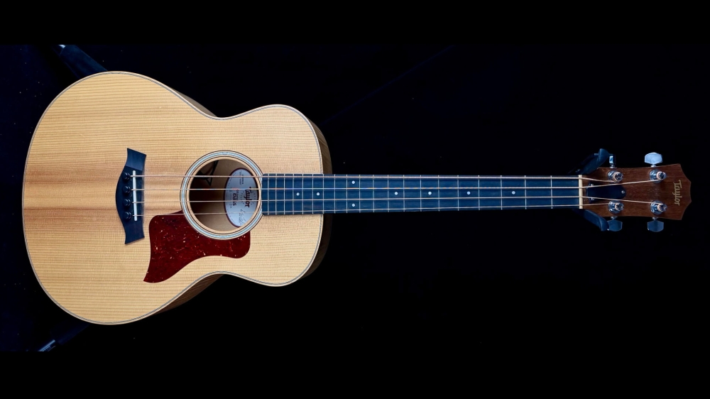 Taylor GS Mini Bass