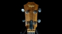 Taylor GS Mini Bass