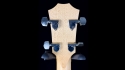 Taylor GS Mini Bass