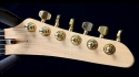 Carvin Kit Guitar