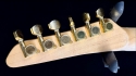 Carvin Kit Guitar