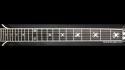 Abstract Widow Maker