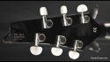 Ibanez PS10-2 Paul Stanley Iceman